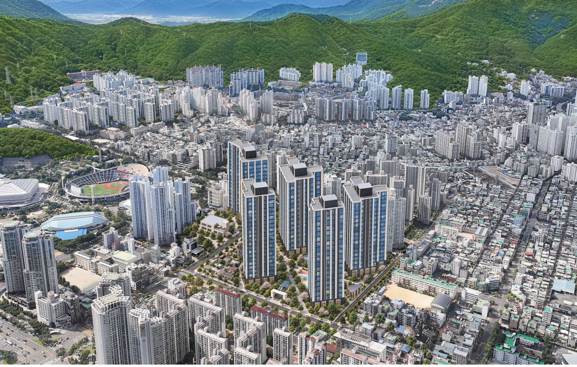 교육 프리미엄